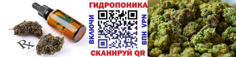 blacksprut как зайти  Пустошка  Canna-Cookies конопля 