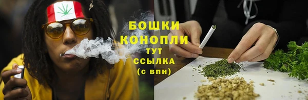 трава Арсеньев