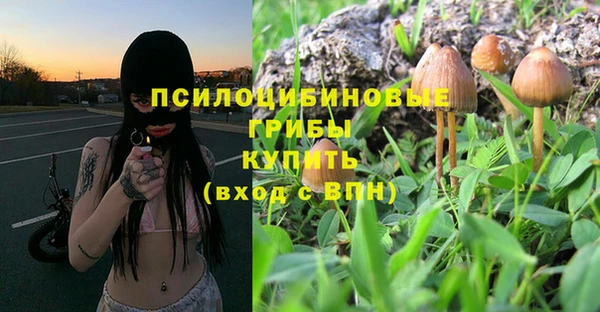 трава Арсеньев