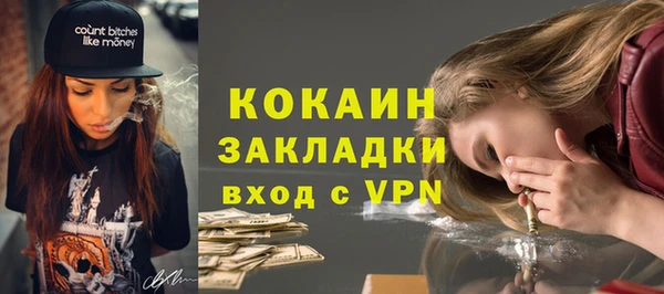 трава Арсеньев