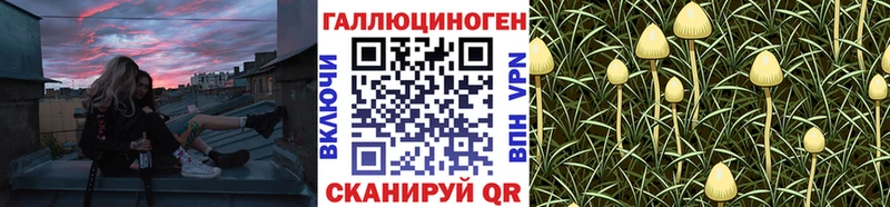 Галлюциногенные грибы ЛСД  цена наркотик  omg ССЫЛКА  Пустошка 
